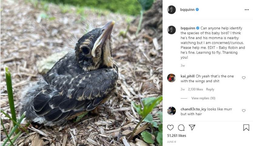 Brian Quinn posting a picture of a baby bird