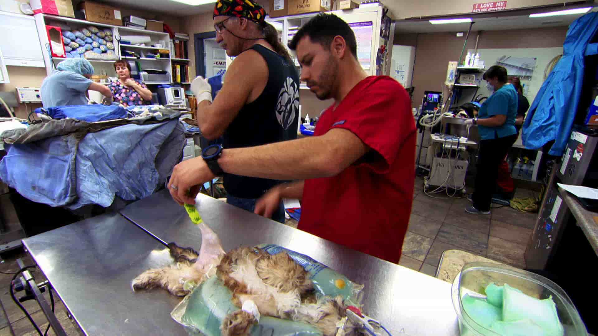 Image of Hector Martinez on Dr. Jeff rocky mountain vet