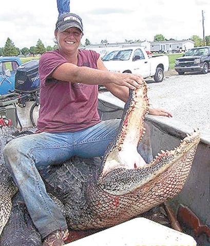 Gator Queen Liz from swamp People Catching Gator