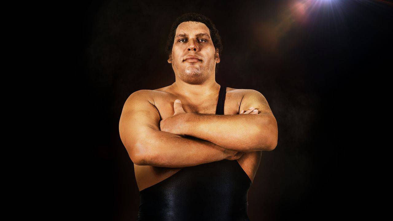 Image of Andre The Giant