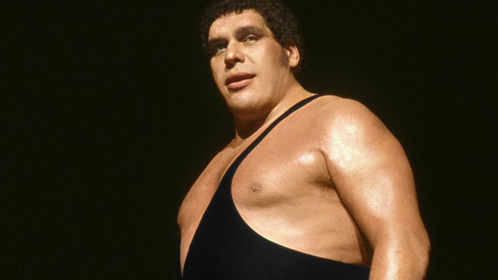 Image of Andre the Giant